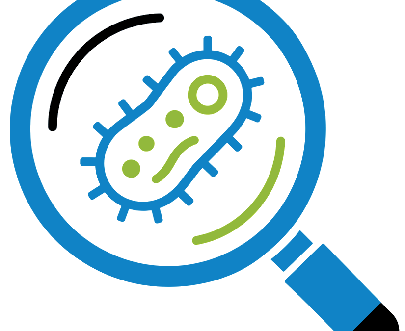 Clover MSDAS v1.16 Silico ID (beta) Launch